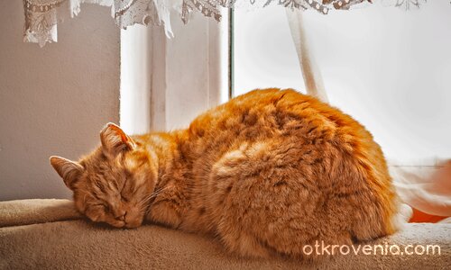 Не ме будете, моля!