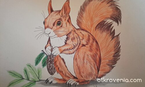 Катеричка 🙂