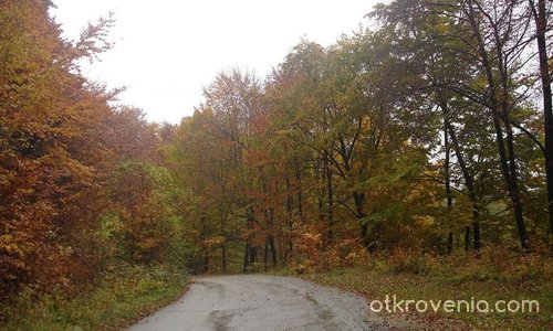 Път през есента
