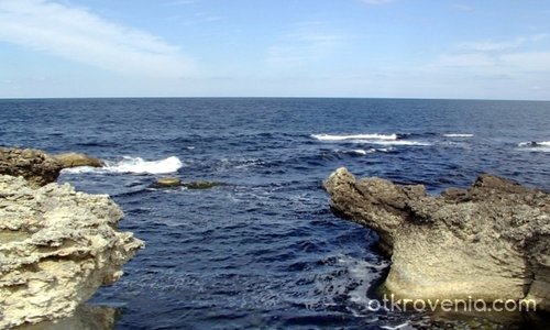 Морски спомен за синьто Черно море и "чудовищата" изплували от дълбините на морето! 