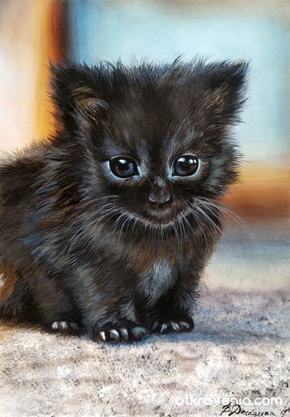 Черно котенце