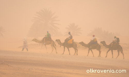 Сахарски вятър