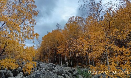 "Юрушки Мостове", Витоша