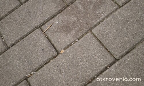 Печатът на есента