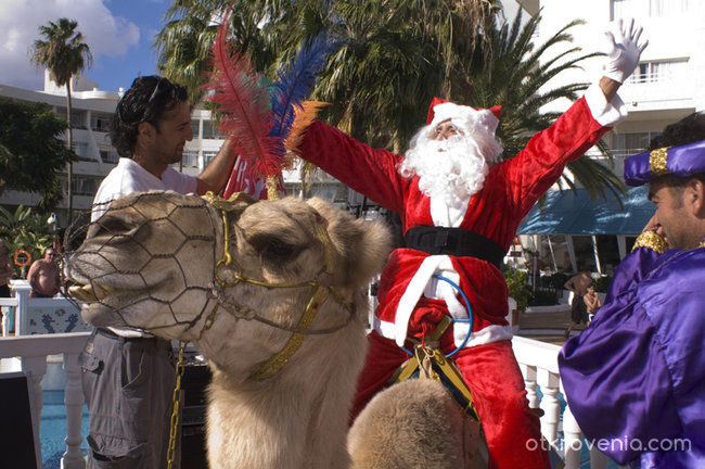 Дядо Коледа на камила