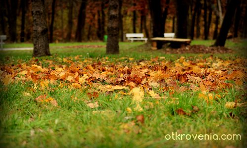 Есен в парка - 2