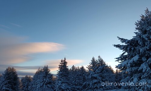Зимна рапсодия