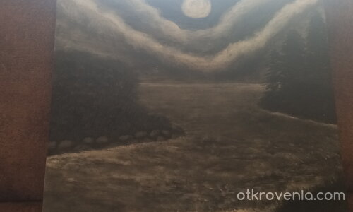 ,,Нощна красота"