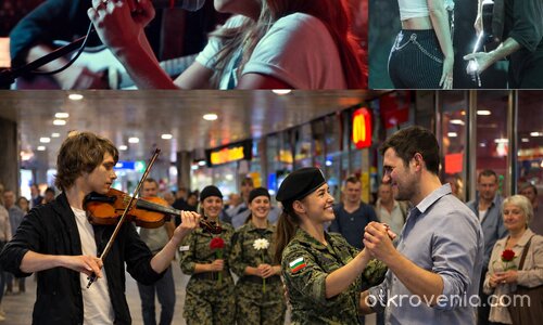 Колаж към 8 част Фитоконсултацията