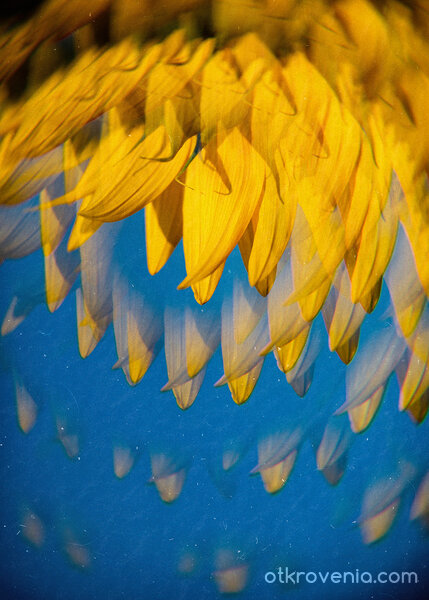 Разпад на лятото (Летен дъжд)