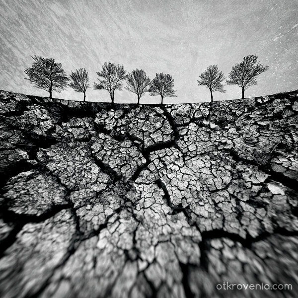 Поглед от утрешния ден