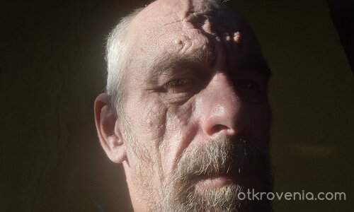 Тъмната половина