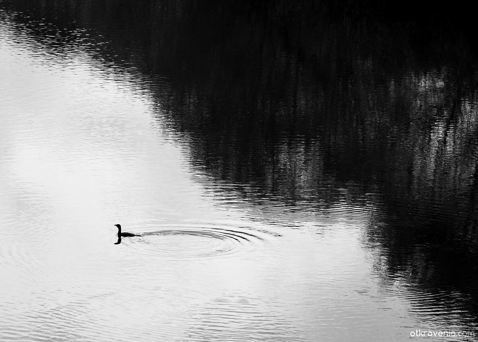 Entering Heaven Alive фото Природа, Други, Пейзаж от ico10 (Христо