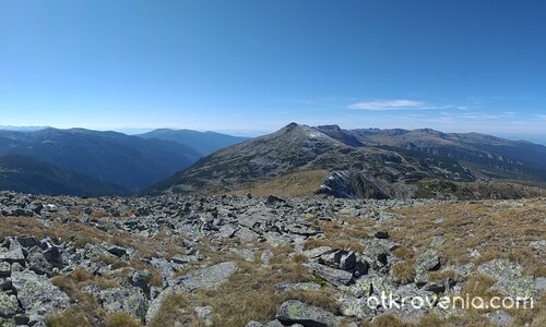 Панорама от Лопушки връх, 2698 м