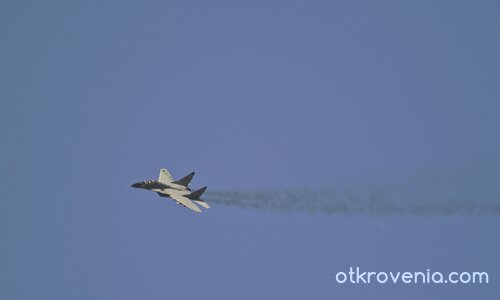 МиГ-29 в полет