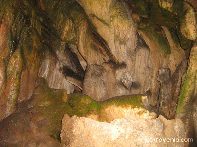 Пещерата Леденика