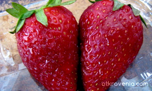 Влюбени ягодки