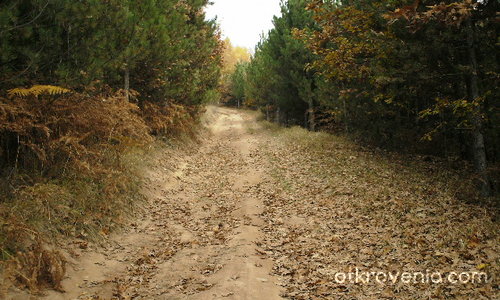 Път през есента
