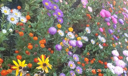 Все още е лято