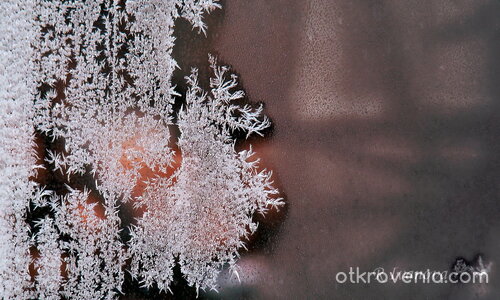 В годината на Огнения кон
