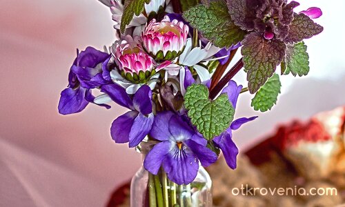 Пролетни потпури