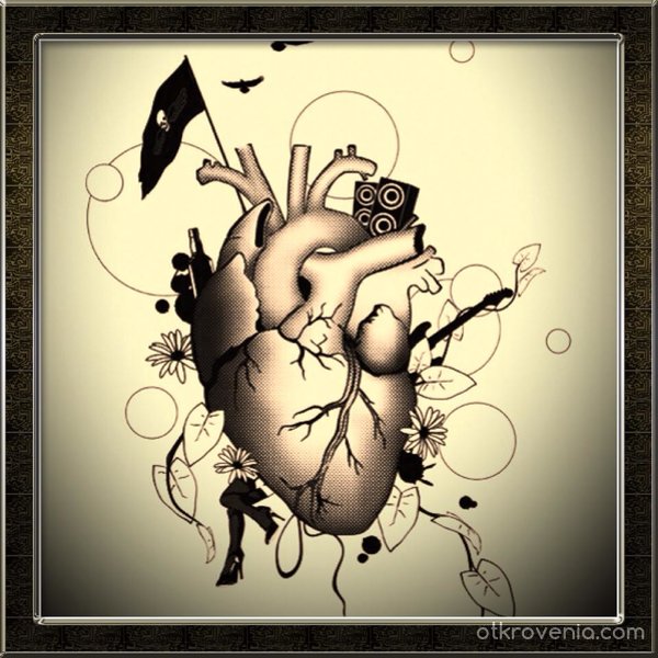Патология на сърцето