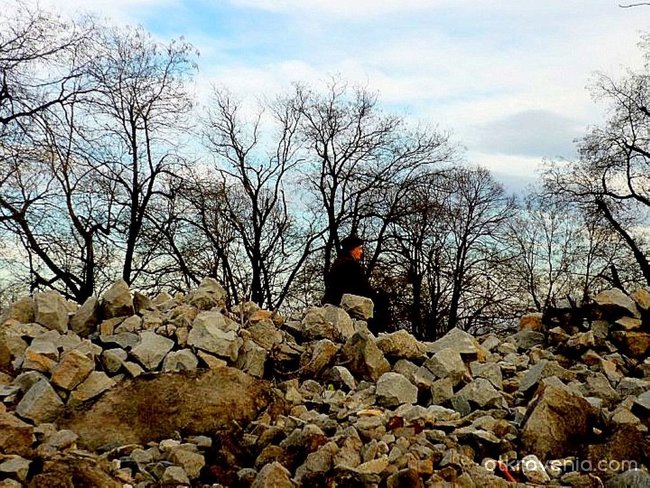 С поглед, вперен в далечината...