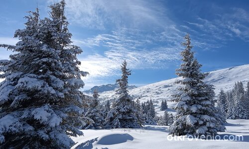 Зимна картичка от Витоша