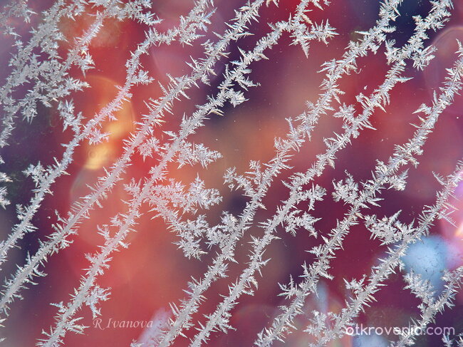 Като всички мои пътища