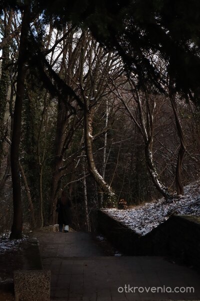 Момичето си отива ...