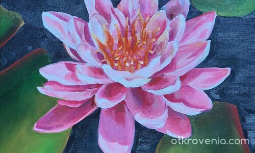 Лилия Натюрморт