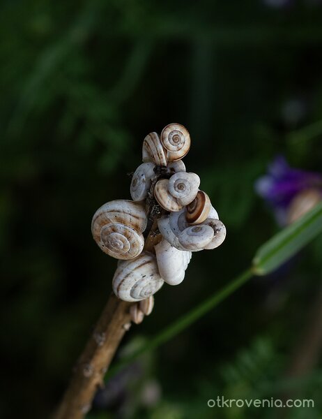 Камасутра за начинаещи