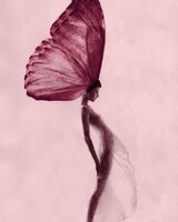 winelight (Magdalena Lalova)