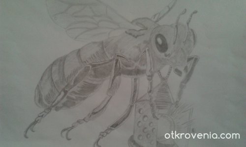 Пчела с фенер
