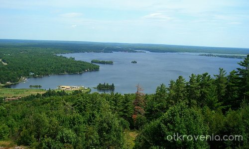 Поглед от кукувичо гнездо