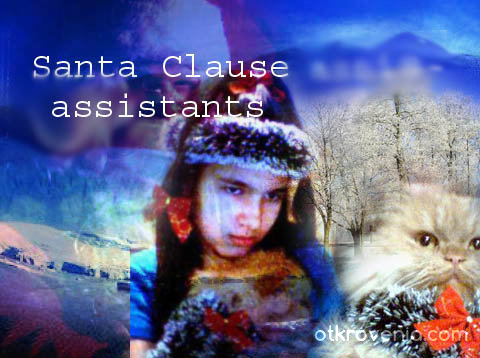 Santa Clause assistants