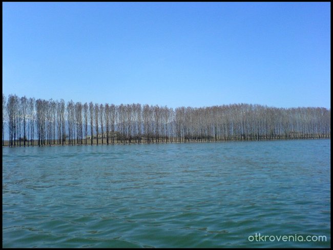 С водно настроение