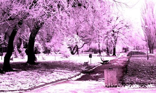Един зимен ден на фона на лилава светлина =)
