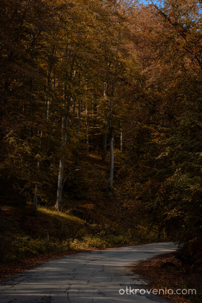 Есенна пътека