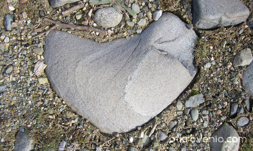 Сърце или камък?