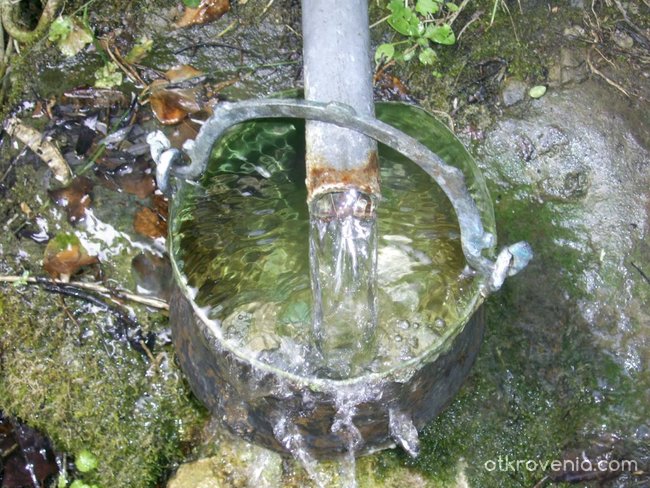 Жива вода