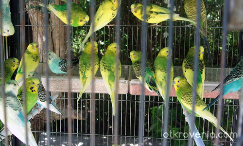 Един ужасен прекрасен ден