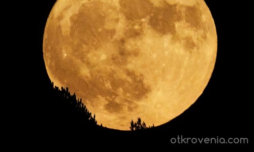 Full Moon, August 1st 2023