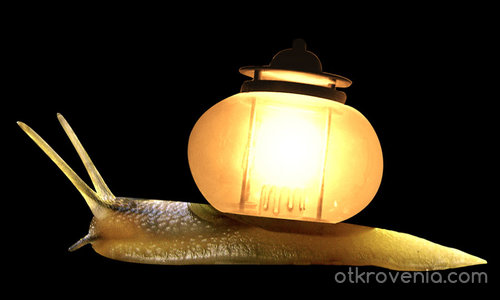 Snail lamp (охлюв лампа)