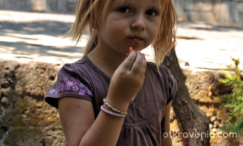 Портрет на лятна принцеса с ягода