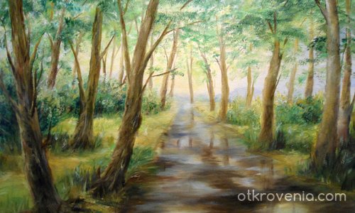 Пътека в гората