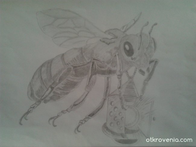 Пчела с фенер