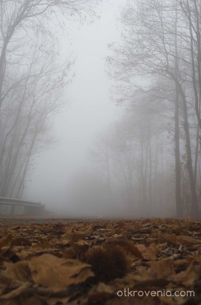 Тишината на мъглата