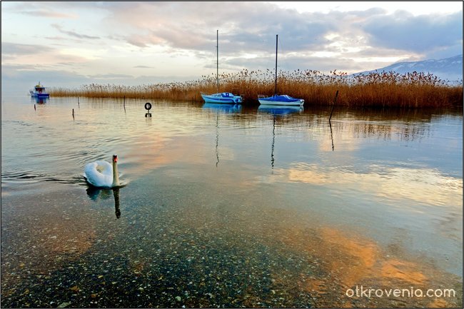 Охридското езеро..