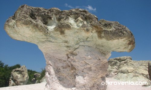 Каменните гъби Бели пласт - Източни Родопи